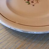 Assiettes de Longwy 10 pièces