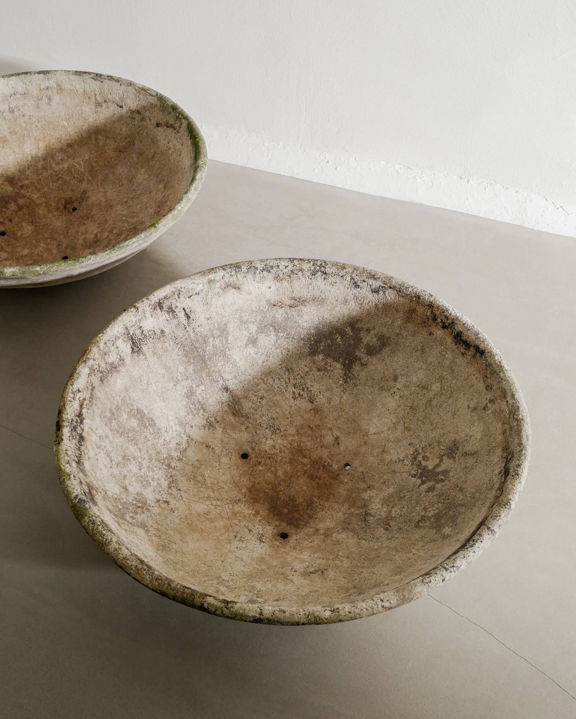 Oversized Mid Century Concrete Planters by Willy Guhl, 1950s