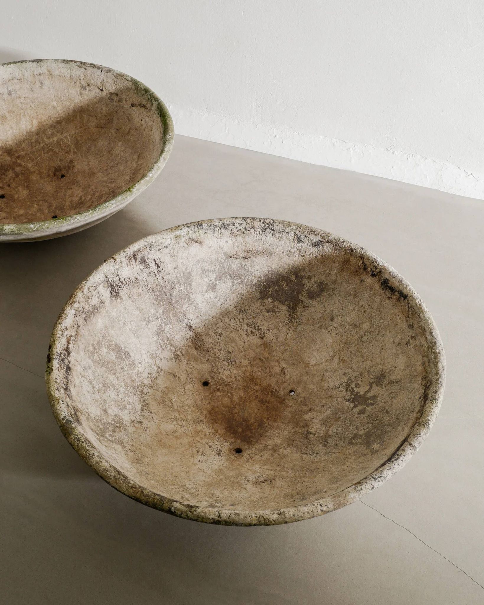 Oversized Mid Century Concrete Planters by Willy Guhl, 1950s