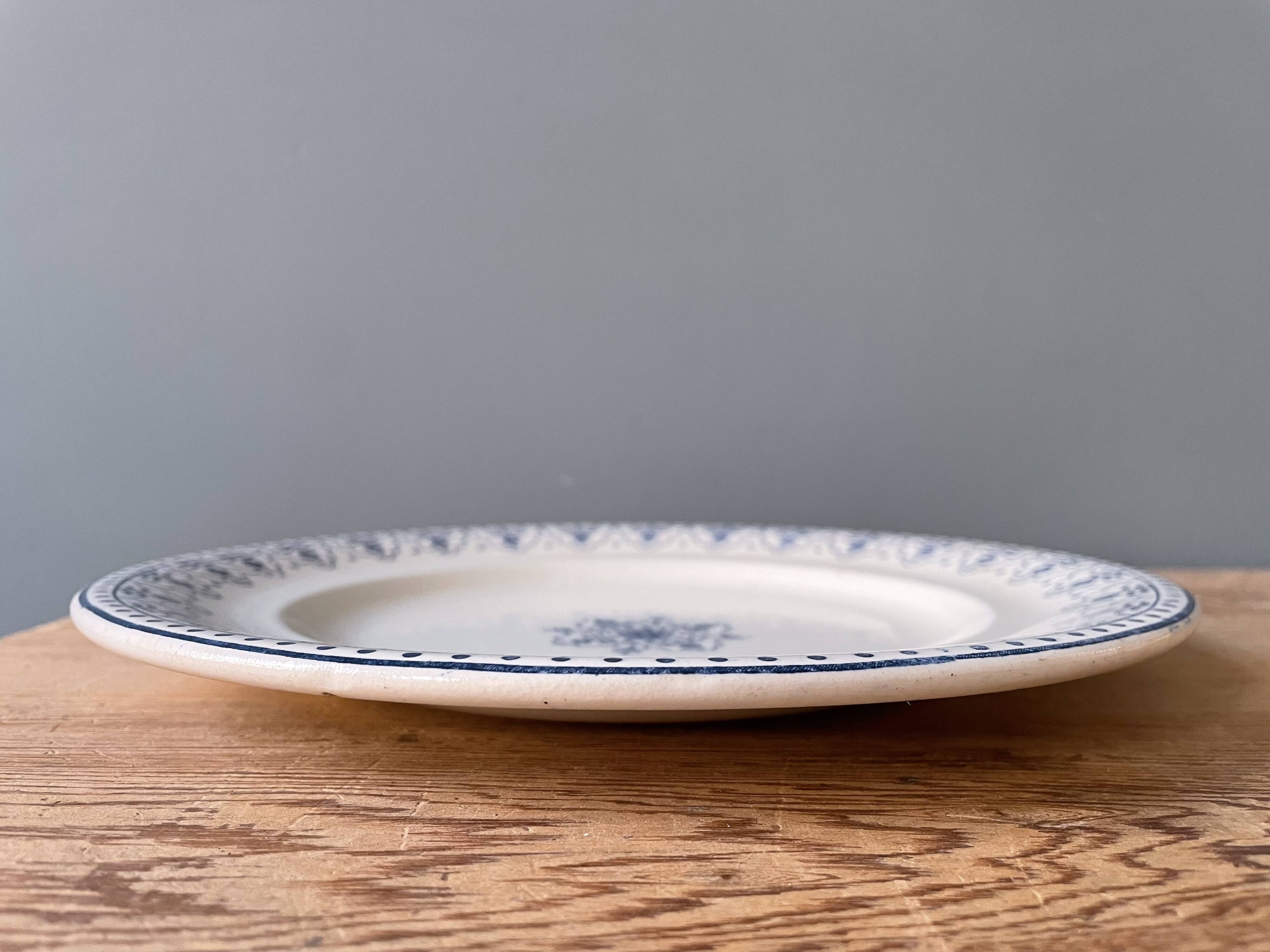 Series of 12 flat plates XIXth earthenware Terre de Fer Clairefontaine