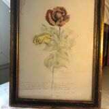 Deux roses entremélees signé Octave Matthey 1929