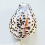 Tiger porcelain seashell on a wooden base, late 19th century