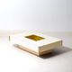 Willy Rizzo 'Alveo' coffee table with bar space, 1970s
