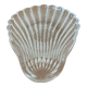 Shell glass cups