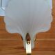 Pair of Deknudt shell wall lights