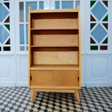 Vintage bookcase