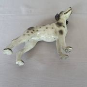 Pointer Anglais
