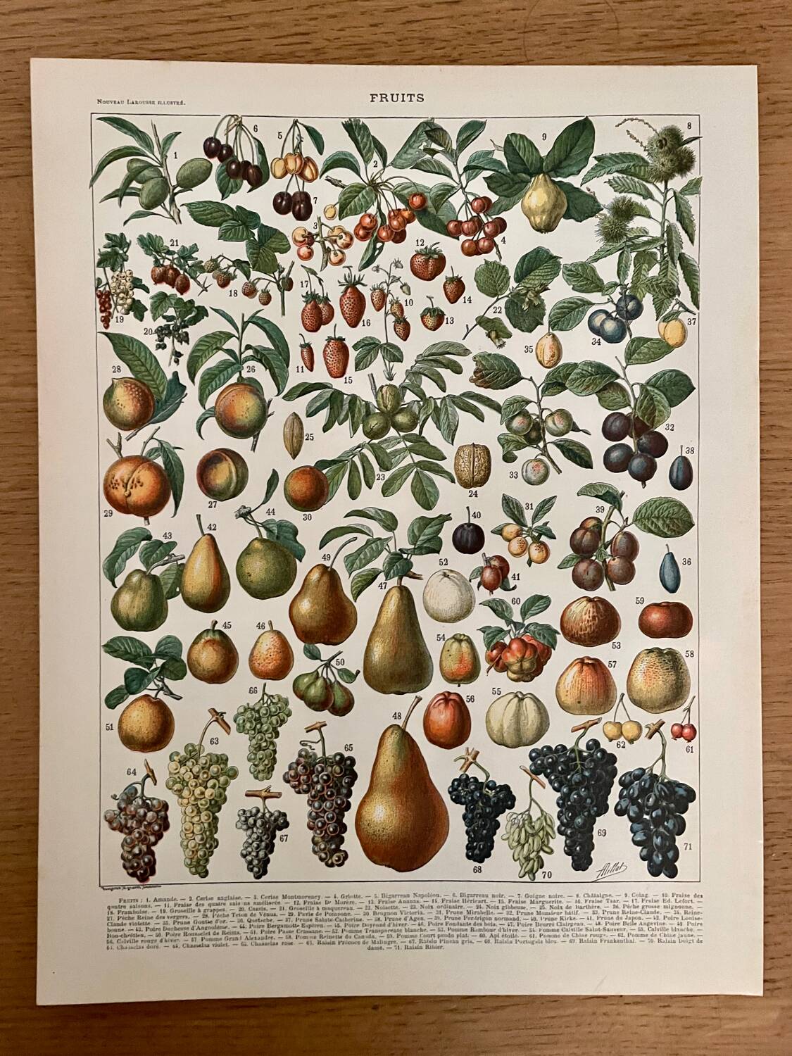 Réserve Audrey - Lot de 6 lithos XXe