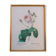 Vintage botanical poster "Rosa Centifolia Bullata" by P.J.Redouté