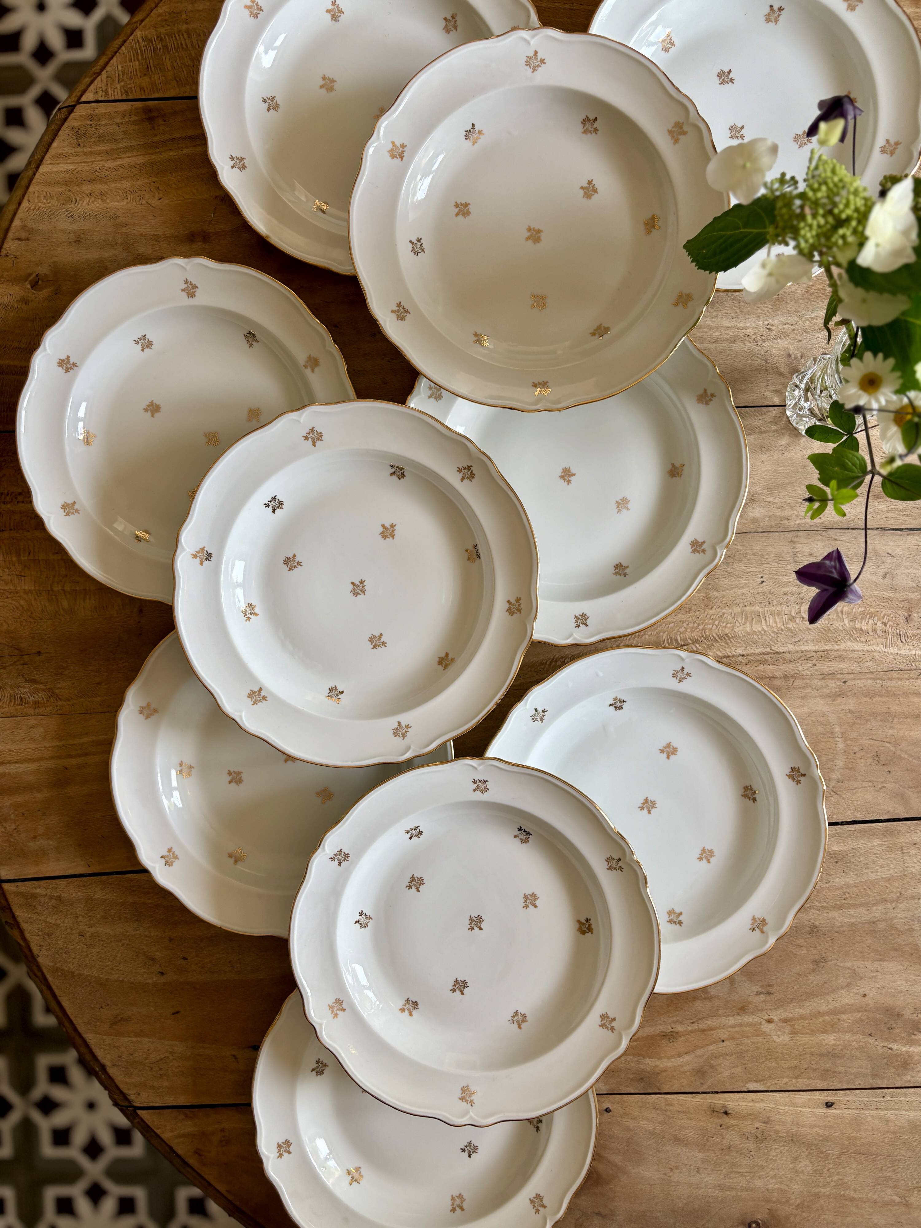Set of 10 vintage Limoges porcelain soup plates