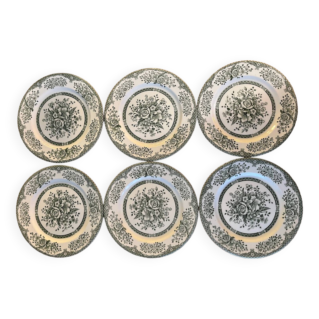 6 assiettes plates, English Ironstone Selency