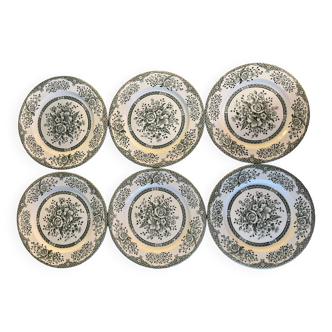 6 assiettes plates, English Ironstone