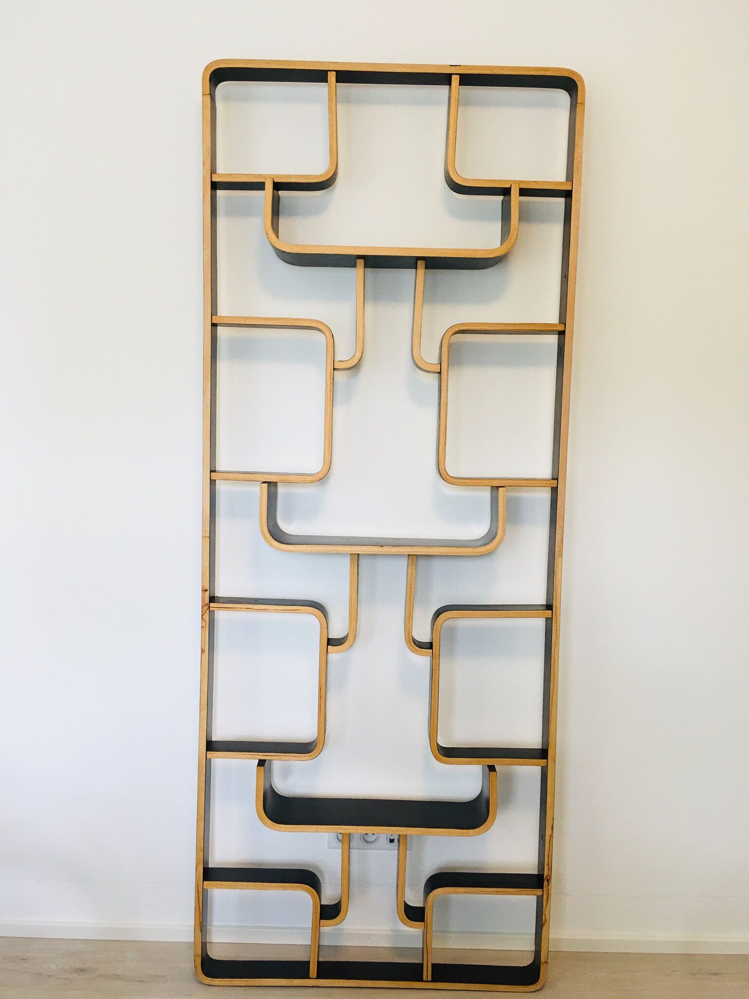 Mid-Century Room Divider by Ludvik Volak for Drevopodnik Holesov, 1960s