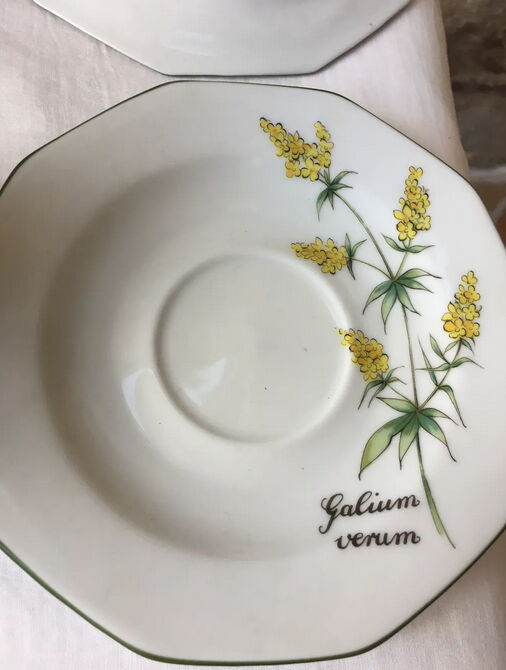 Baviere Winterling fine porcelain service or coffee