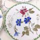 6 Creil and Montereau dessert plates “Blueberries” model