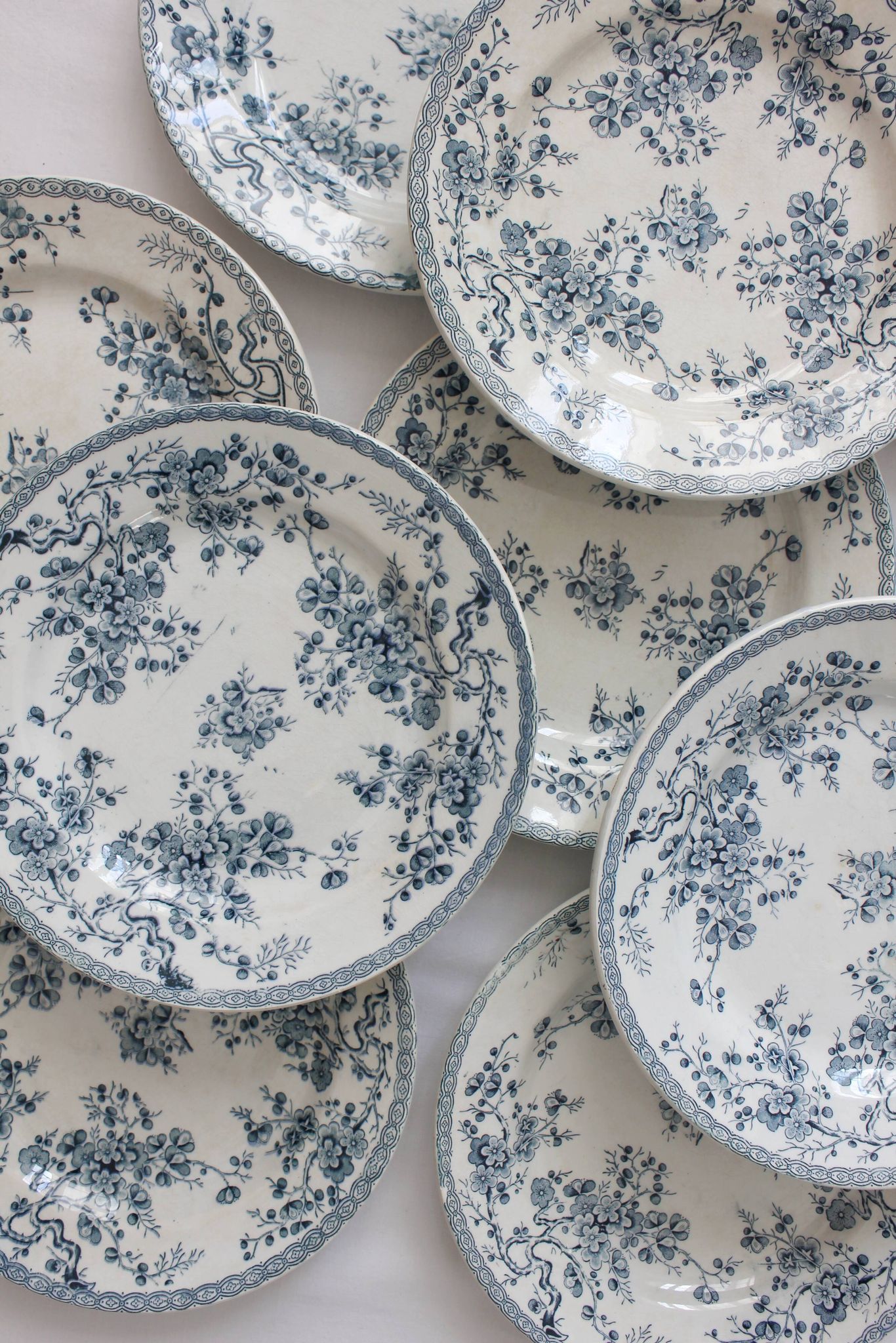 10 flat plates in iron earth "Fleurette" Gien gold medals