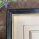 Old framed engraving of birds "red grouse"