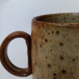 Pyrity sandstone chop