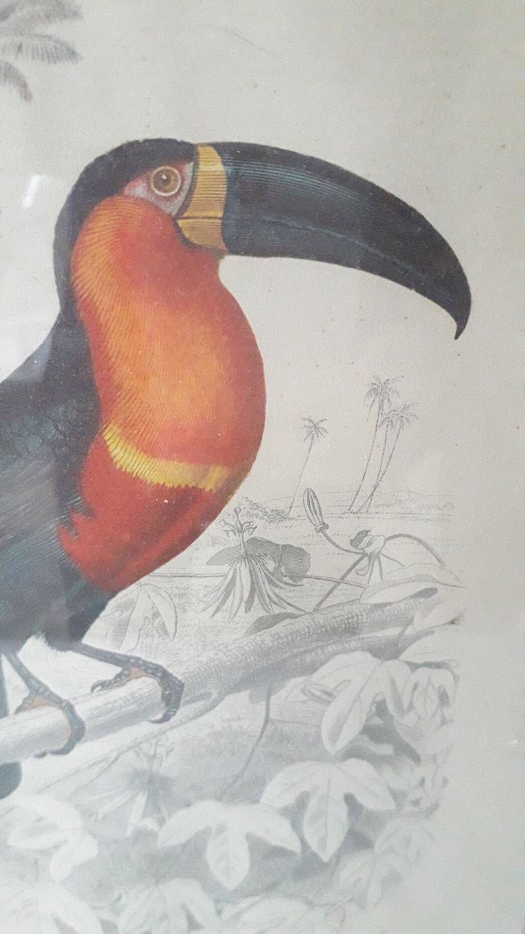 Educational framework