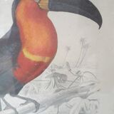 Educational framework