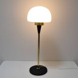 Vintage floor lamp designed by jaroslav bejvl for lidokov,1960's.