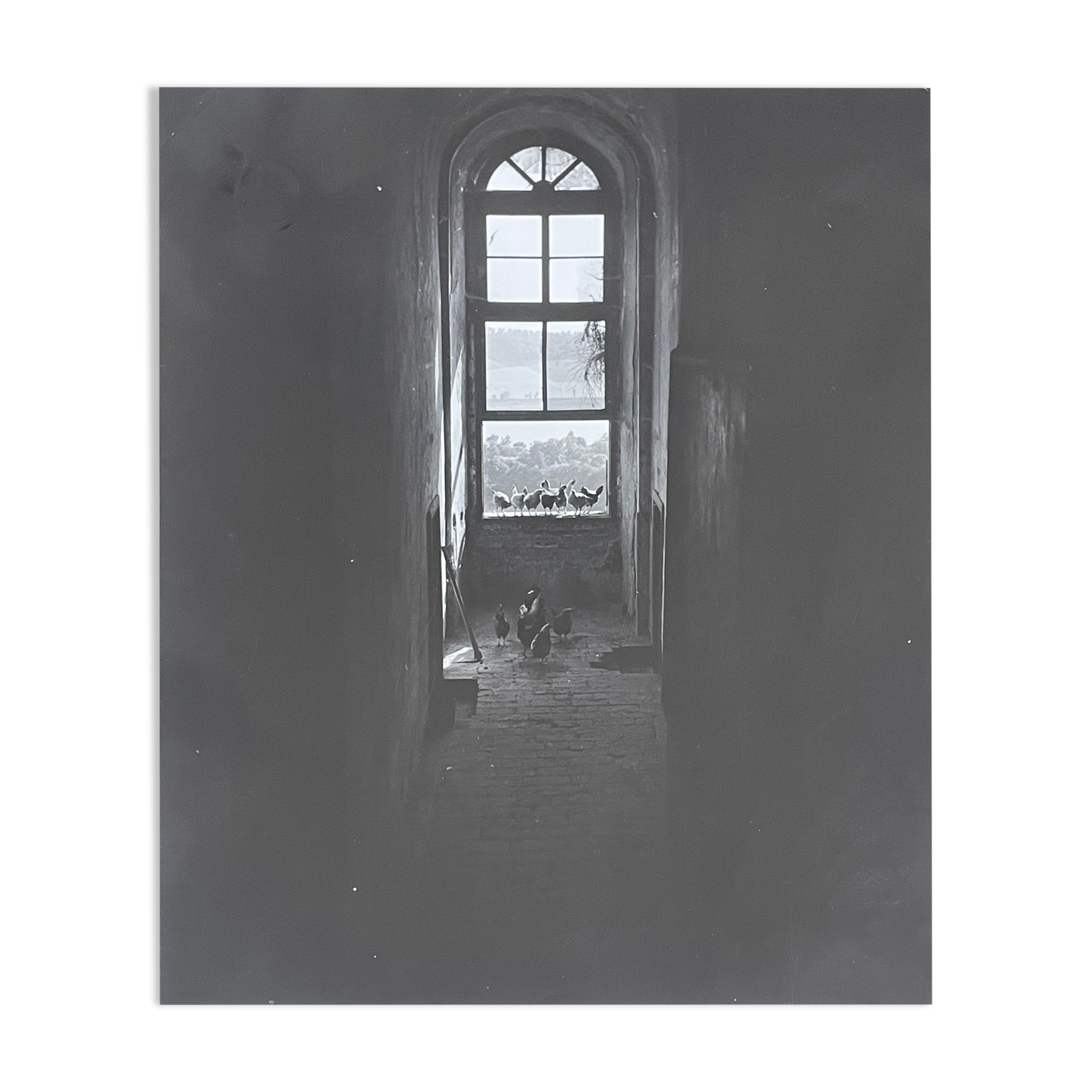 Old black and white silver photography early twentieth century