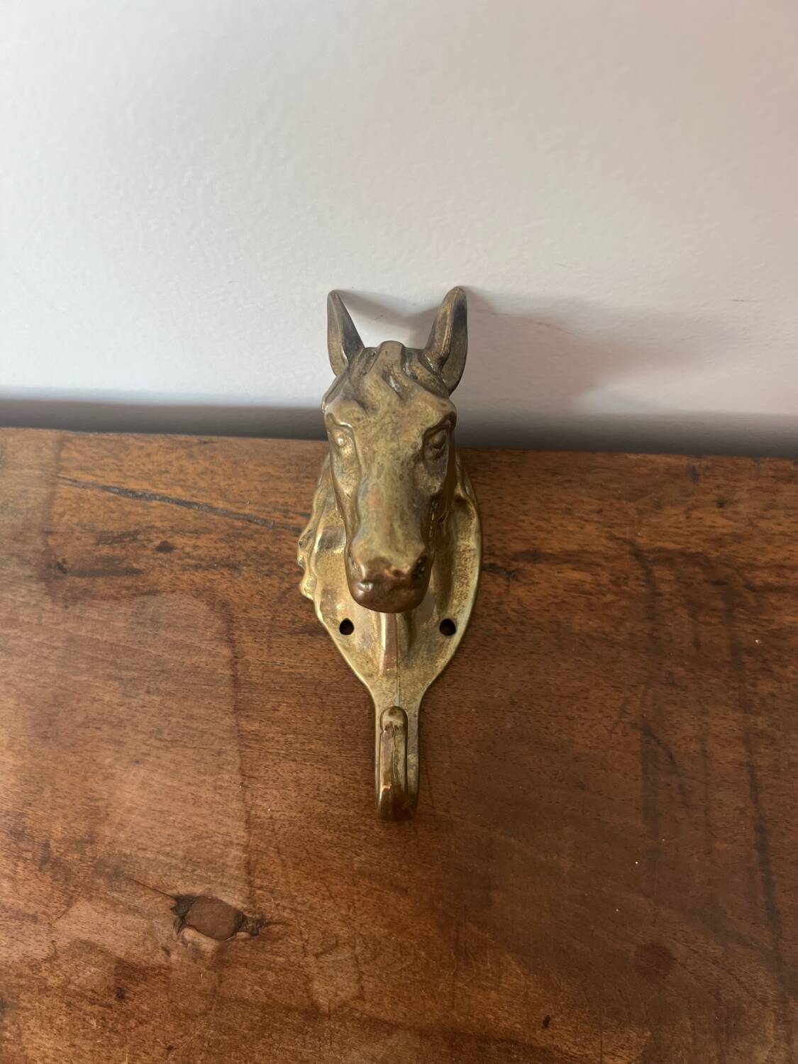 Horse head coat hook