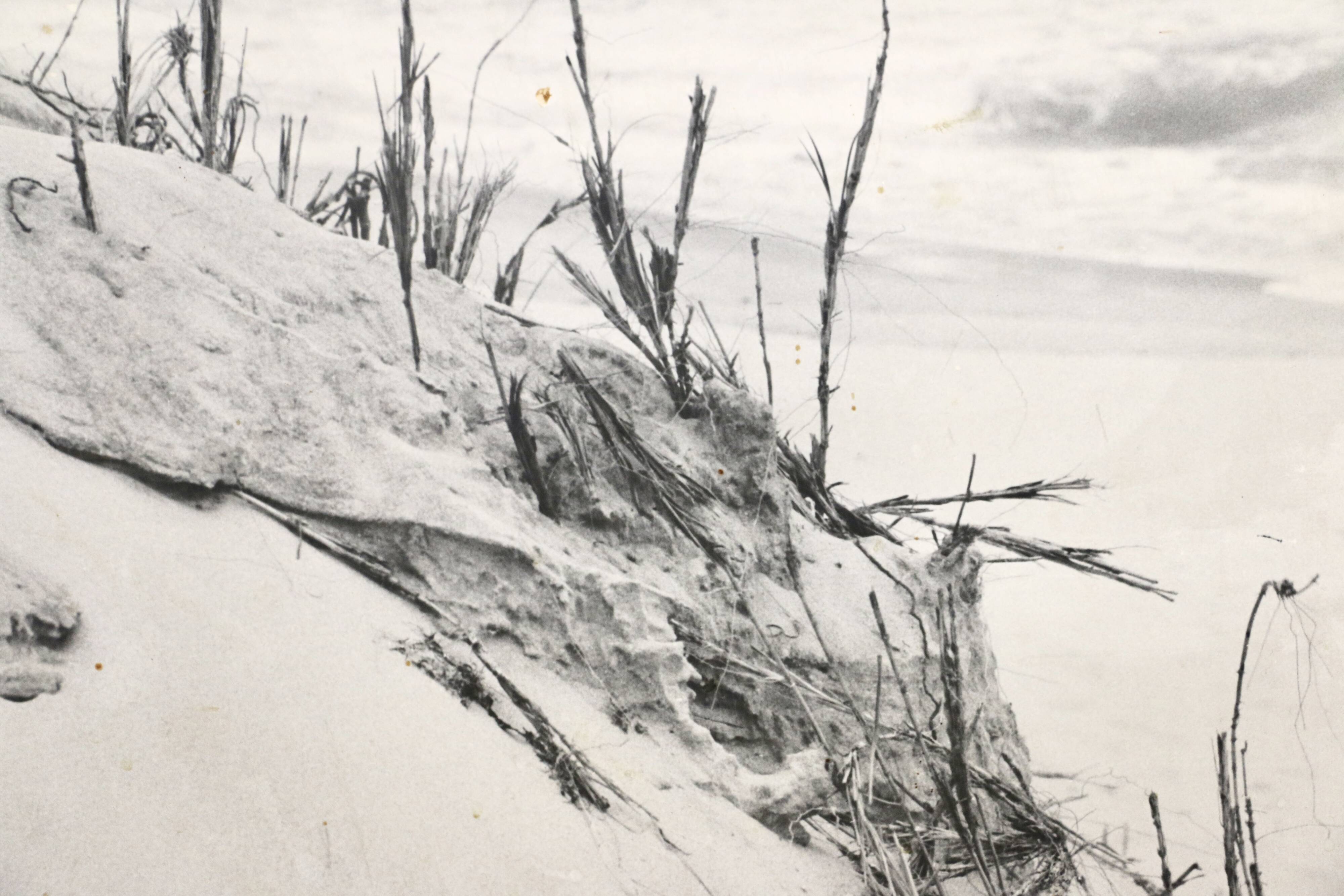 A black and white photo. France 1960s