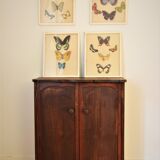 Dollwood cabinet