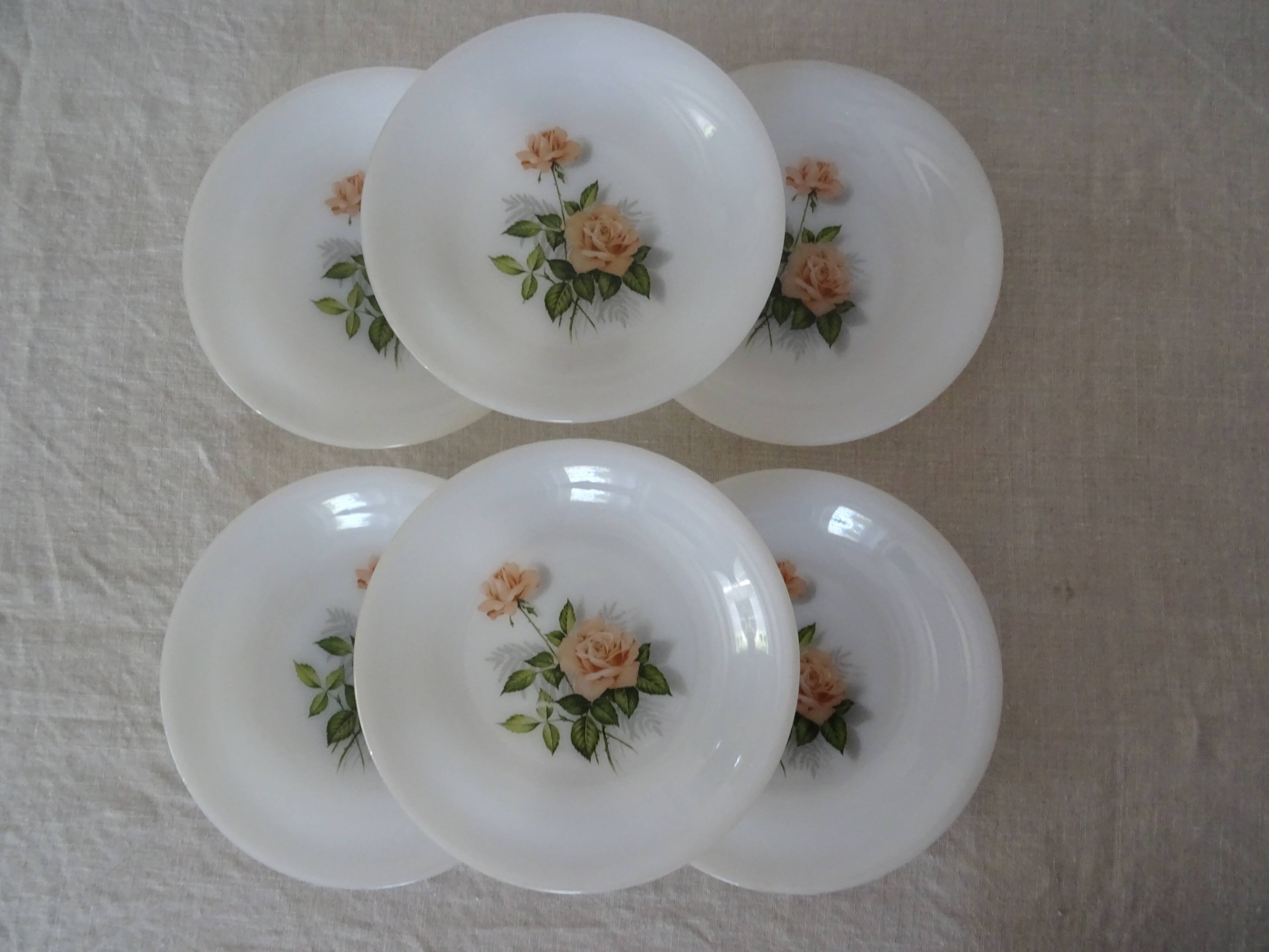 6 plates roses from France flowers hollow Arcopal