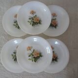 6 plates roses from France flowers hollow Arcopal