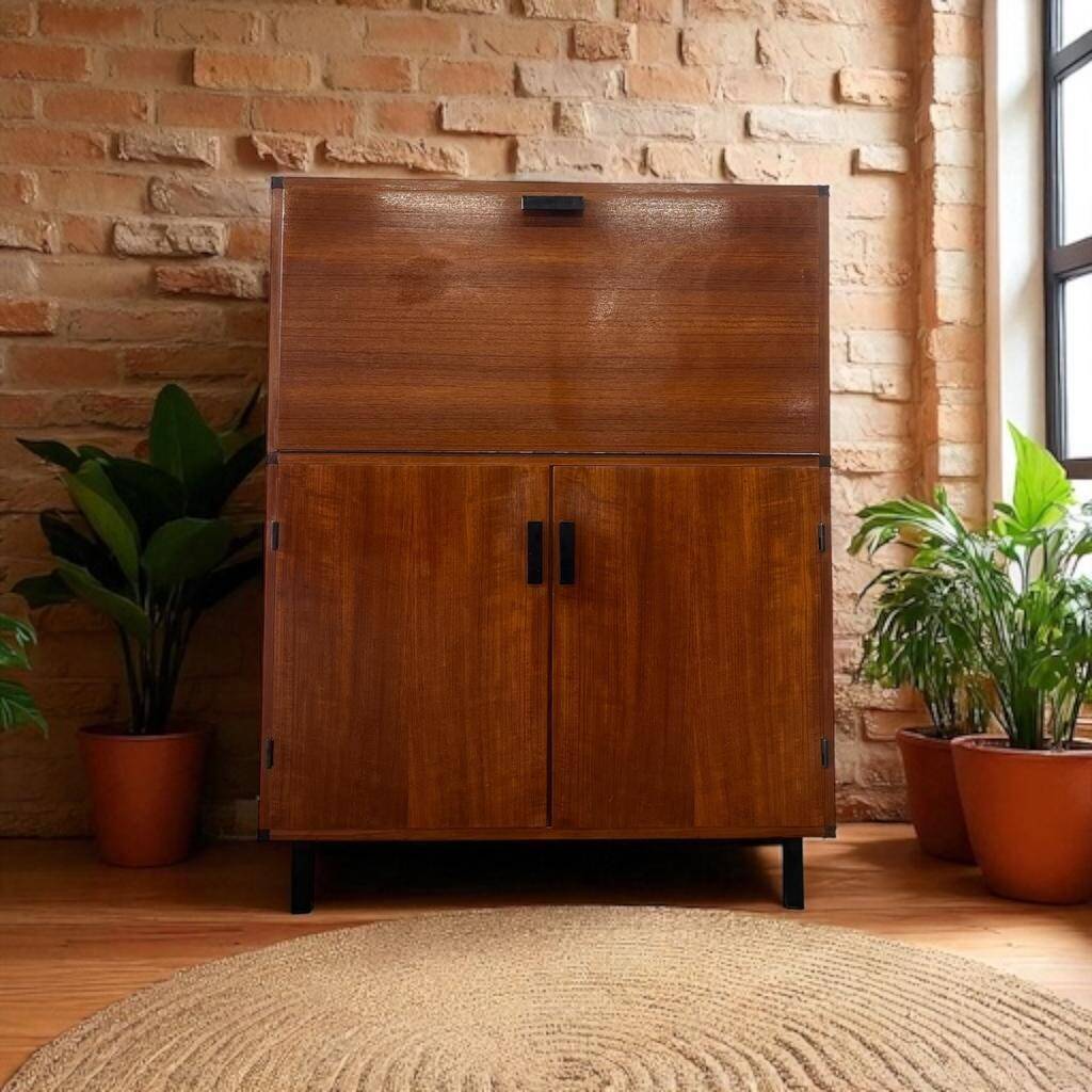Armoire / secrétaire / meuble bar vintage Pastoe sur mesure