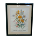 Old framed botanical poster