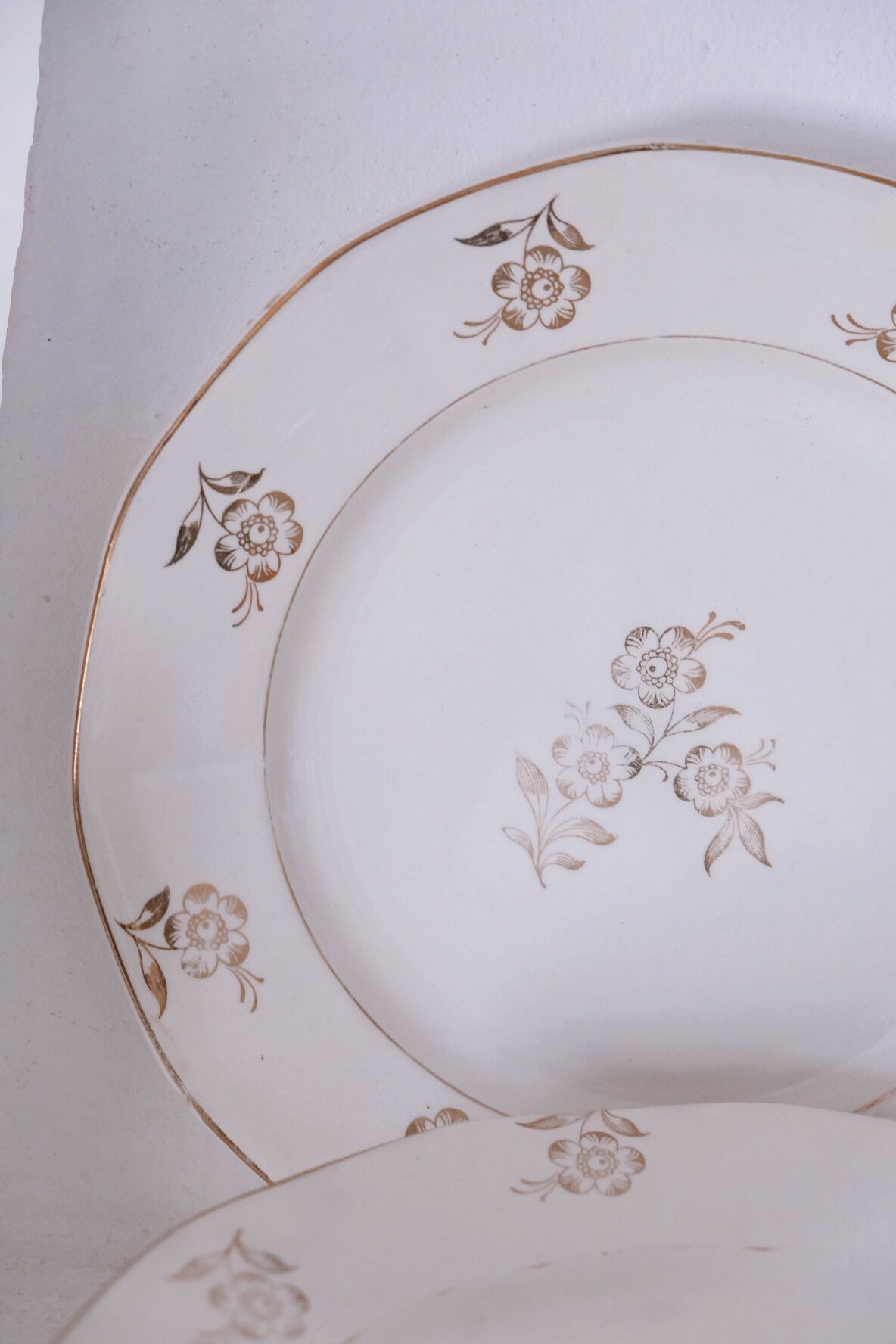 Set of opaque porcelain plates 'Raphael' from the French manufacturer Digoin-Sarreguemines
