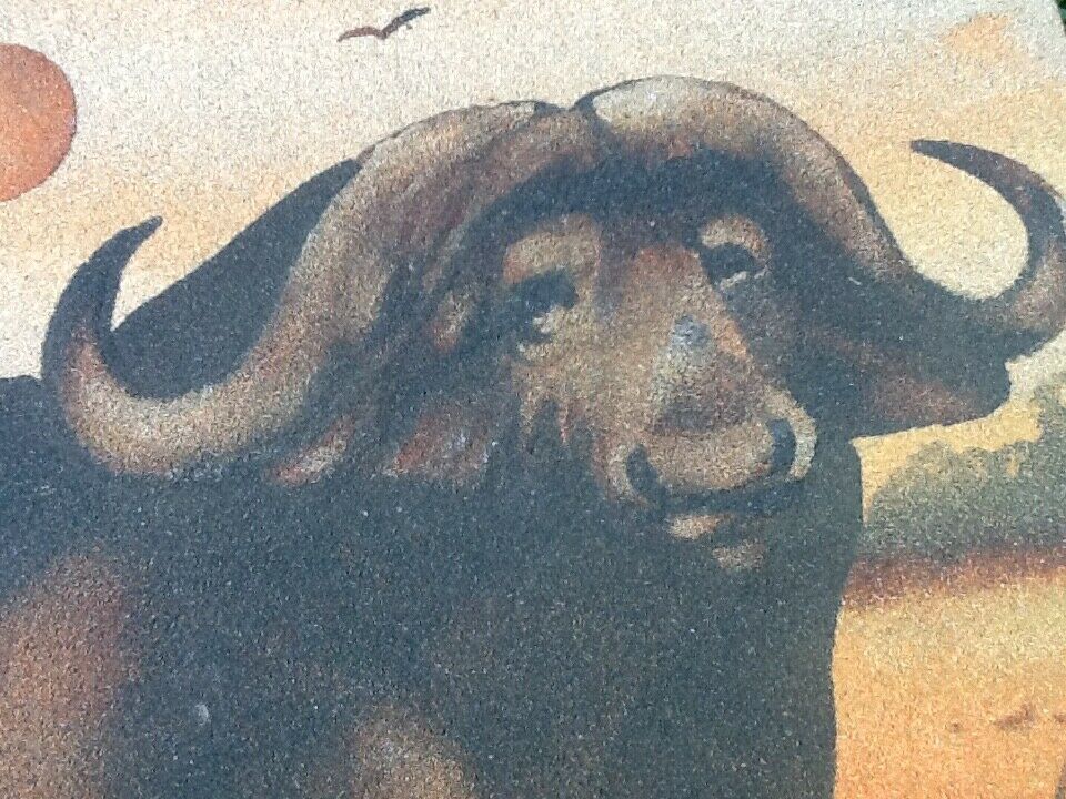 Sand painting on wood panel African buffaloes Artist Dm3 (Demba Mbengue)