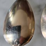 Silver-plated metal cutlery set