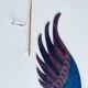Wooden peacock to hang, mobile peacock