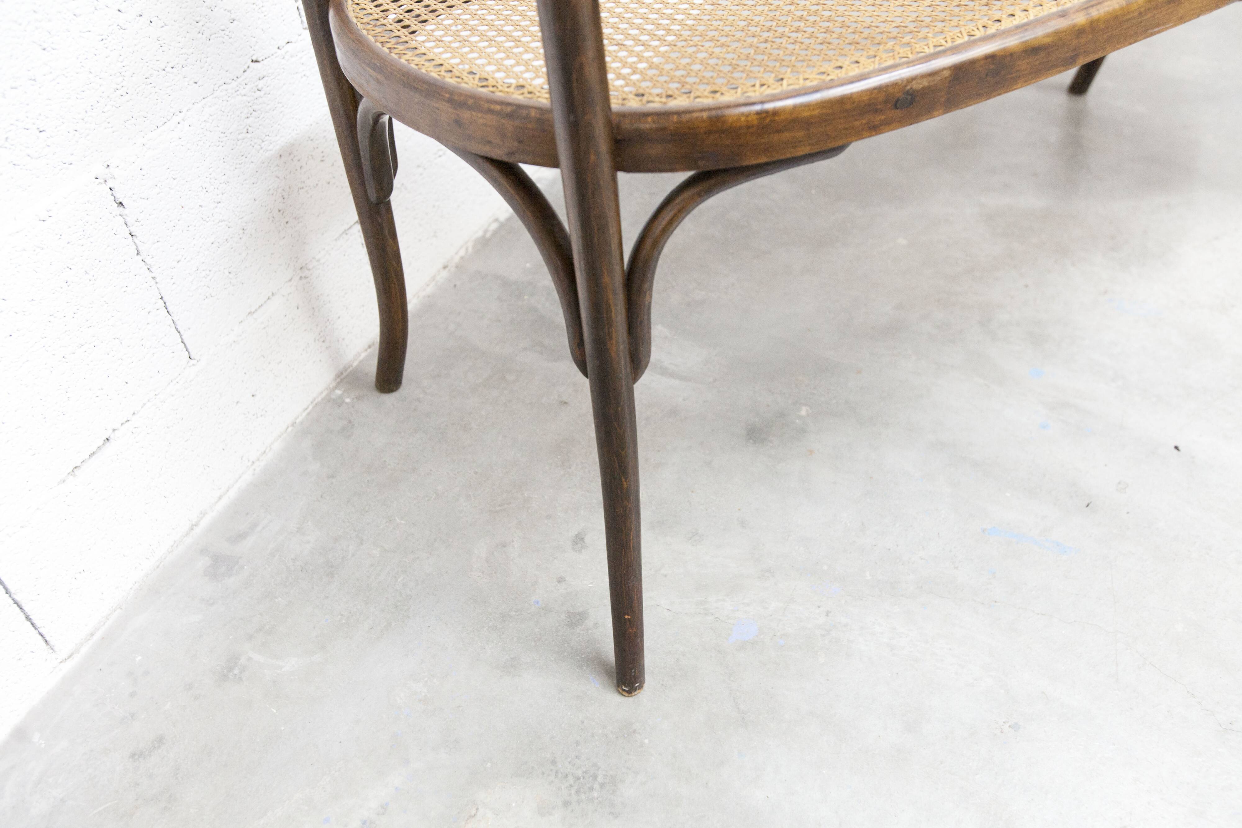 Fischel bench 1930 curved wood artisanal cane handmade