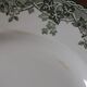 4 flat plates Terre de Fer Saint Amand and Hamage summer model