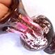 Seafoam tulipwood vase, brown and pink, Vallauris, signed PG