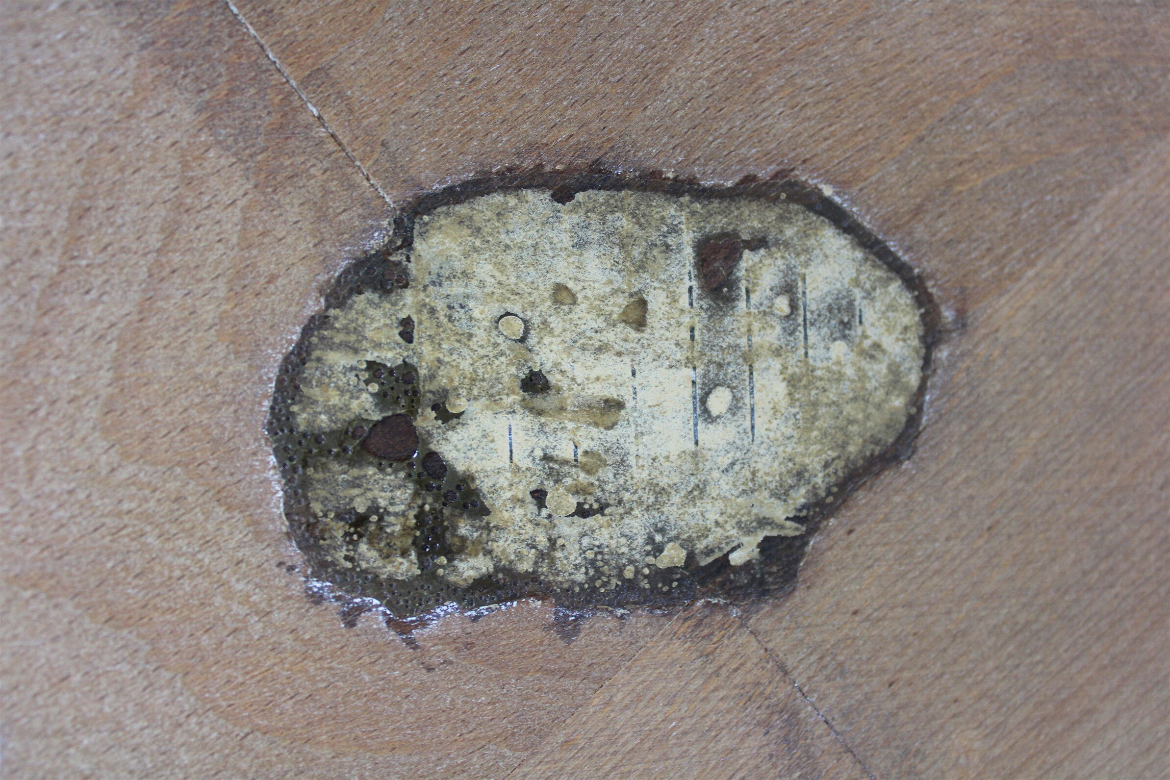 Round Coffee Table by Karel Koželka & Antonin Kropáček for Interier Praha, 1940s