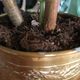 Copper pot cover