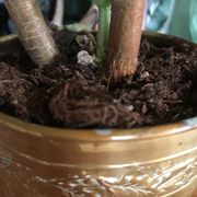 Cache pot en cuivre