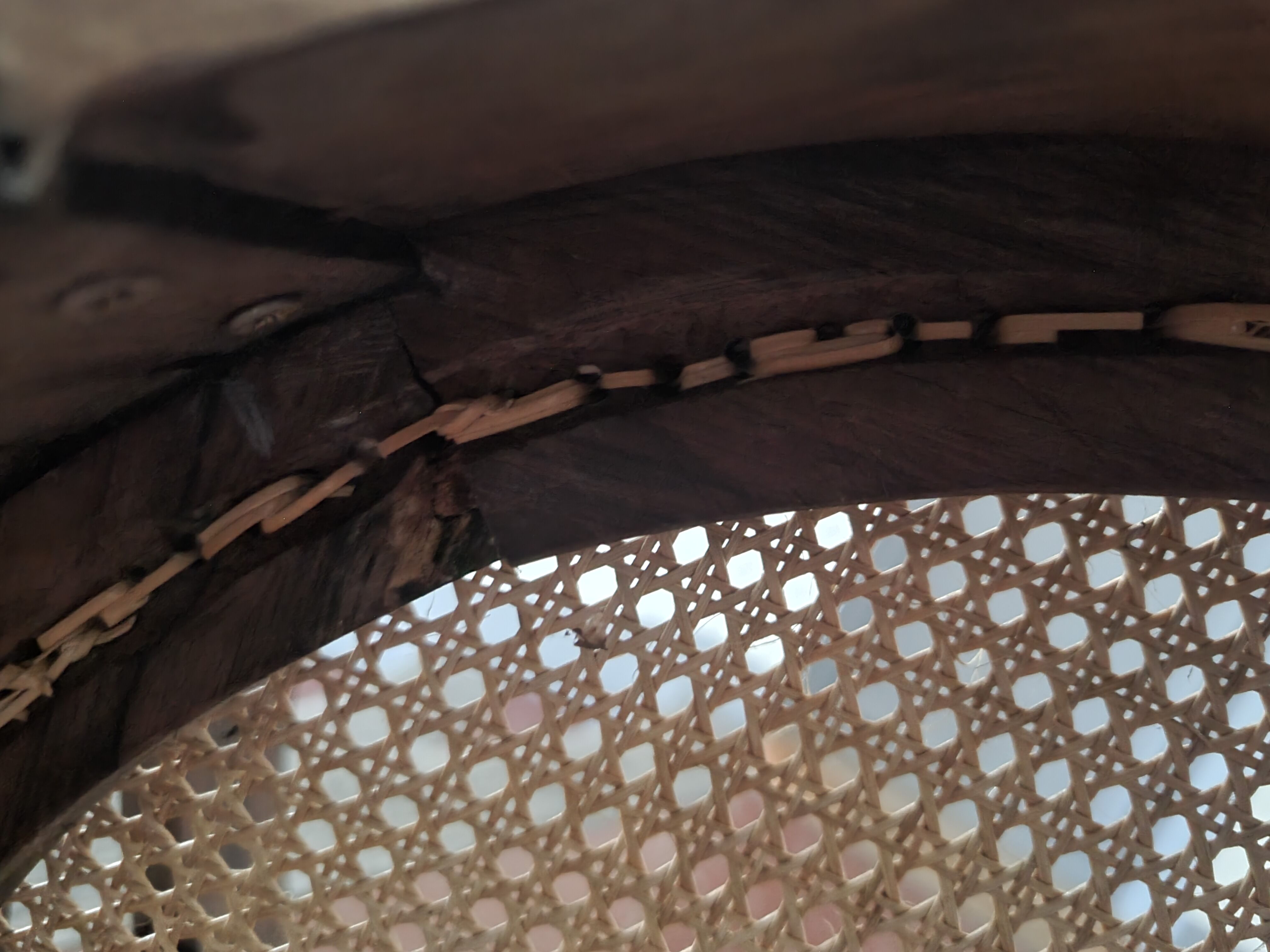 Louis Philippe office chair in canned walnut