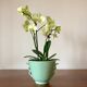 Cache-pot vase Villeroy Boch art déco