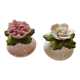 Salière et poivrière fleurs en porcelaine Denton