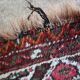 Old handmade wool rug