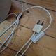 Vintage herbarium lamp