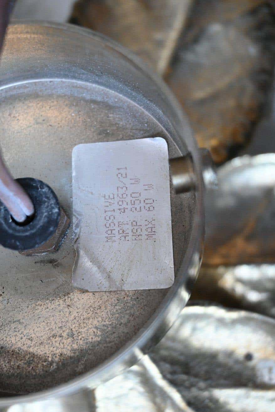 Massive Lighting 1970 Brass Willy Daro Flower Applique