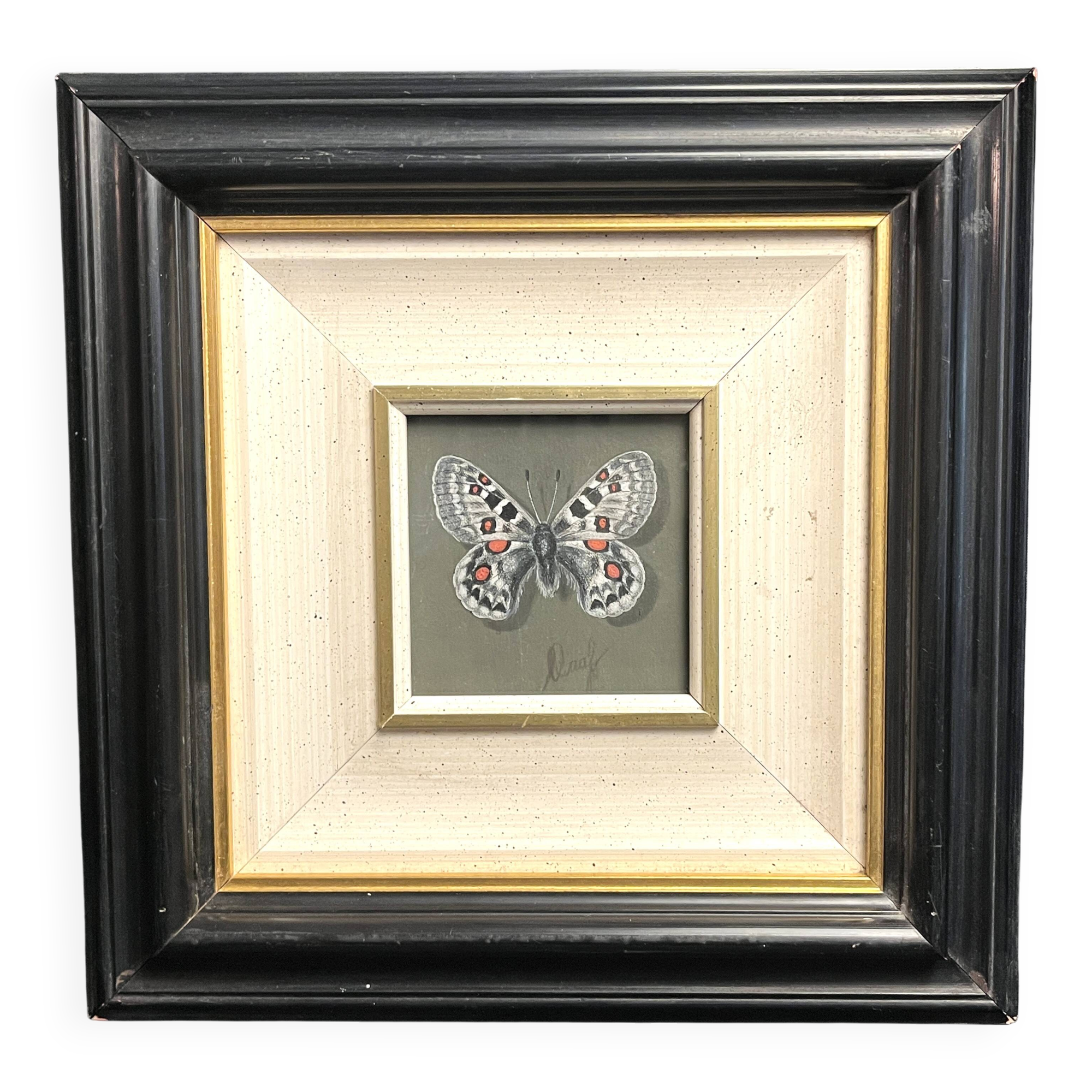 Pastel, butterfly drawing signed, 20th century frame